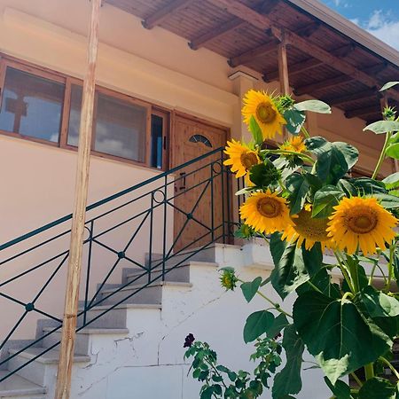 דירות Tragana  Bokas Exotic House מראה חיצוני תמונה