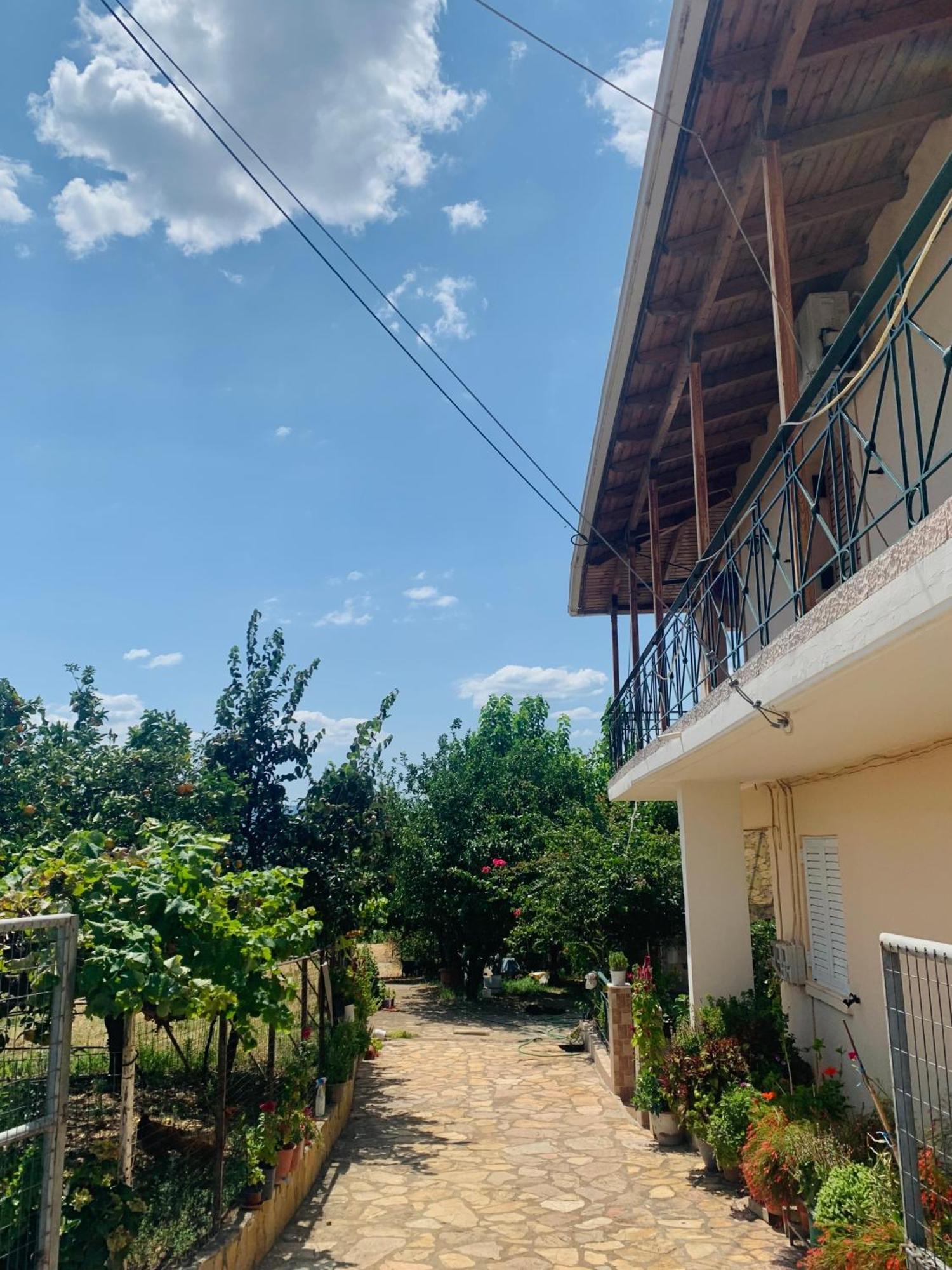 דירות Tragana  Bokas Exotic House מראה חיצוני תמונה