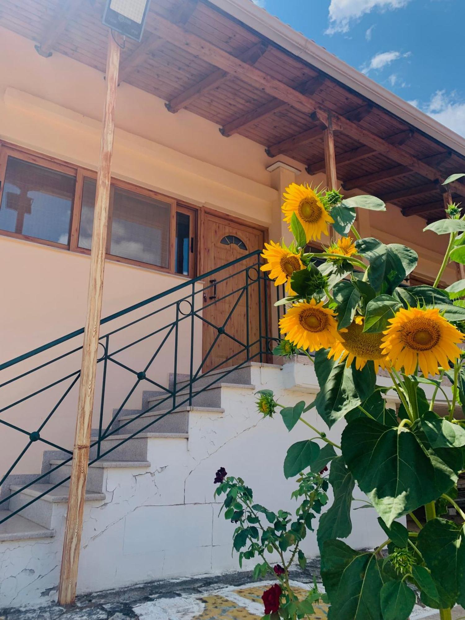 דירות Tragana  Bokas Exotic House מראה חיצוני תמונה
